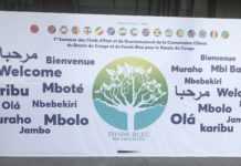 Ali Bongo Ondimba attendu à Brazzaville pour participer au premier sommet sur le climat dans le bassin du Congo
