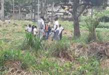 Gabon : un bébé de trois mois jeté vivant dans un ruisseau derrière Bambino village de Nzeng-Ayong, le père soupçonné