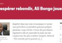 Fake news : nouvelle livraison et nouvelles « confusions » pour La Lettre du Continent au sujet du Gabon