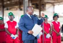Environnement : le Gabon remonte d’un cran ses exigences en matière d’exploitation durable de ses ressources forestières