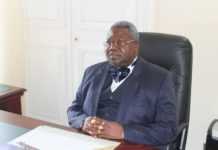 Elections au Gabon : le PDG fait une véritable razzia dans l’Ogooué Ivindo et l’Ogooué Lolo