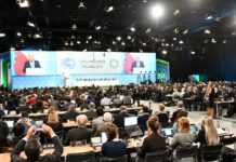 Ouverture de la COP 24 : le Gabon parmi les pays africains les plus attendus