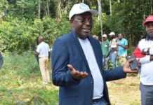 Théophile Ogandaga nommé DGA d’Olam, premier employeur privé au Gabon