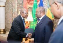 Gabon : « Évoquer la vacance du pouvoir au sujet du président Ali Bongo n’a plus aucun sens aujourd’hui » (Faustin Boukoubi)