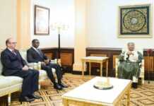 Gabon : Ali Bongo Ondimba réinvestit la scène diplomatique