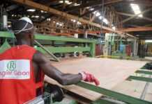 Filière bois au Gabon : inquiète suite au Kevazingogate, la profession rassurée par les autorités