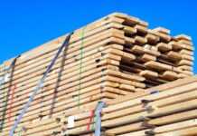 Gabon : Hausse de 67,5 % des ventes locales de bois industriels