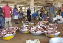 Le Gabon en passe de combler son déficit en produits halieutiques, évalué à 40 % de la demande nationale