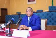 Gabon : Voici la composition complète du nouveau gouvernement de 29 membres nommé ce lundi