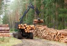 Ouverture aujourd’hui de la deuxième édition du Gabon Woodshow, le plus grand salon consacré à la filière bois en Afrique