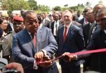 Gabon : De 2010 à 2018, le nombre d’unités de transformation du bois a doublé (Lee White)