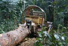 Gabon : Conséquence du dynamisme et de la diversification de l’économie, mais aussi des réformes, les recettes budgétaires sont en hausse