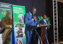 Tourisme : Pour la première fois, le Gabon se dote d’une véritable stratégie nationale