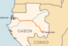 Trans-gabonaise : Le financement de ce vaste projet d’infrastructure est bouclé, assure le porte-parole du président Ali Bongo