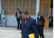 Polémique au Gabon : Jean Ping accusé de racisme
