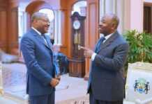 Gabon : Peu avant l’exclusion d’Ali Akbar Onanga et de la suspension de Philippe Ngaipé, deux députés PDG, Ali Bongo a reçu le secrétaire général du parti majoritaire pour une mise au point