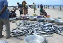 Environnement : Le Gabon accueille un forum sur la gestion durable des ressources marines