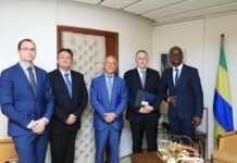 Gabon : L’Australien Genmin group vise une production de 5 millions de tonnes de fer à partir de fin 2020