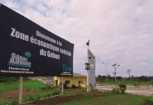 Gabon : 348 milliards de francs CFA injectés par les investisseurs dans la Zone économique à régime privilégié (Zerp) de Nkok entre 2015 et 2018