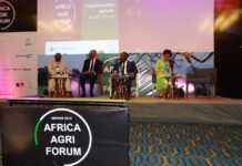 L’Africa Agri forum se tiendra les 20 et 21 novembre 2019 au Gabon, qui a fait de l’agriculture un axe majeur de sa politique de diversification économique