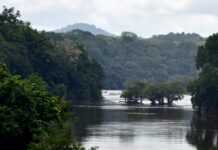 Environnement : La Norvège délivre à nouveau un satisfecit au Gabon