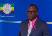 C’est officiel, il n’y a pas d’Ebola au Gabon