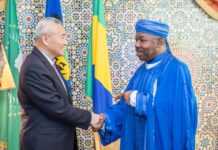 Gabon : Ali Bongo en Chine en 2020