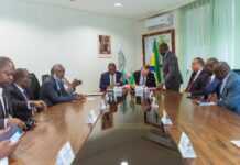 Environnement : Le Gabon et la RDC unissent leurs forces pour protéger la forêt équatoriale et son exceptionnelle biodiversité