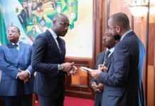 Gabon : Noureddin Bongo cible d’attaques d’activistes, un ministre prend sa défense sur Twitter
