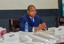 Dépenses « superflues » : L’analyste-activiste Mays Mouissi charge Julien Nkoghe Bekalé et Roger Owono Mba