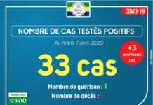 Covid-19 au Gabon : Le point complet sur la situation au mardi 7 avril 2020 avec 3 nouveaux cas positifs, soit 33 au total dont 3 admis en soins intensifs
