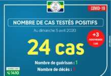 Covid-19 au Gabon : Le point complet sur la situation au dimanche 5 avril 2020 avec 3 nouveaux cas positifs, soit 24 au total dont l’état de santé évolue favorablement