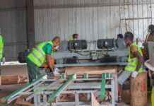 Industrie du bois au Gabon : « Nous allons pouvoir sortir de cette crise du Covid-19 avec plus d’efficacité » (Lee White)