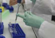 Covid-19 : Le Gabon franchit pour la seconde fois la barre des 1 000 tests par jour