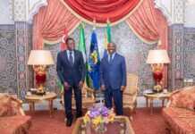 Gabon-Togo : Pourquoi la visite de Faure Gnassingbé à Ali Bongo tourne en ridicule certains médias