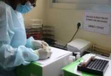 Covid-19 : Après avoir allègrement franchi la barre des 10 % de sa population déjà testée, un record en Afrique, le Gabon de nouveau félicité par l’OMS