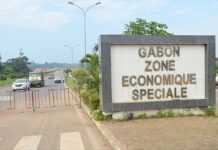 Gabon : Nkok consacrée meilleure zone économique spéciale dans le secteur du bois en 2020