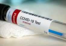 Covid-19 au Gabon : Le point complet sur la situation au vendredi 16 octobre 2020 avec 4120 tests réalisés (210482 au total), 12 nouveaux cas positifs (8881 au total), 35 nouvelles guérisons (8430 au total) et 0 nouveau décès (54 au total)