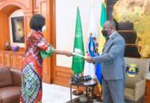 « La CEEAC et le Gabon s’impliqueront davantage, et autant que nécessaire, pour garantir la paix, la sécurité et la stabilité en Centrafrique » (Ali Bongo Ondimba)