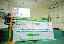 Loué pour sa politique volontariste de protection de l’environnement, le Gabon organise des ateliers de formation consacrés à la gestion durable des forêts et à l’amélioration de l’accès des bois certifiés FSC aux marchés internationaux