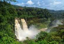 Tourisme vert : Le Gabon parmi les huit meilleures destinations au monde selon National Geographic