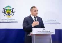 Projet de loi constitutionnelle au Gabon : Jessye Ella Ekogha remet les pendules à l’heure