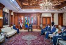 Gabon : Qui sont les six nouveaux ambassadeurs accrédités par Ali Bongo Ondimba ?