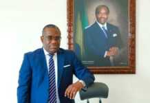 Gabon : Edson Mvou Tsinga nommé DG de la Sogara en remplacement de Christian Avaro Yeno