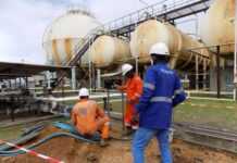 Gabon : Félix Andy Makindey-Nze Nguema nommé DG de la SGEPP