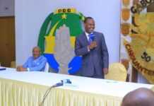 Gabon : Ex-soutien de Jean Ping, Frédéric Massavala Maboumba officialise son retour au PDG d’Ali Bongo Ondimba