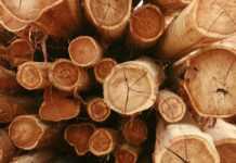 Bois : Rougier va céder son usine d’Owendo à un groupe d’industriels européens