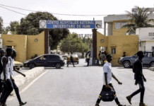 Etudiants gabonais supposément agressés à l’acide au Sénégal : Jessye Ella Ekogha met en garde contre la déformation des faits par les réseaux sociaux