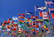 L’adhésion du Gabon au Commonwealth se précise