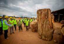 En partenariat avec l’ONG américaine Environmental Investigation Agency et la fondation Code4Nature, le Gabon met en place un système « innovant et exigeant » de traçabilité des produits bois